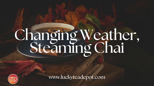 Weather is Changing: Why a Cup of Lakhi’s Tea Feels Just Right